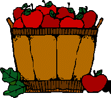 basket of apples