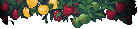 apple tree