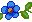 blue flower