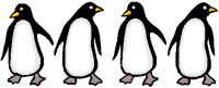 penguin line