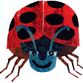 Grouchy Ladybug
