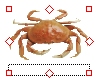 Resize symbols